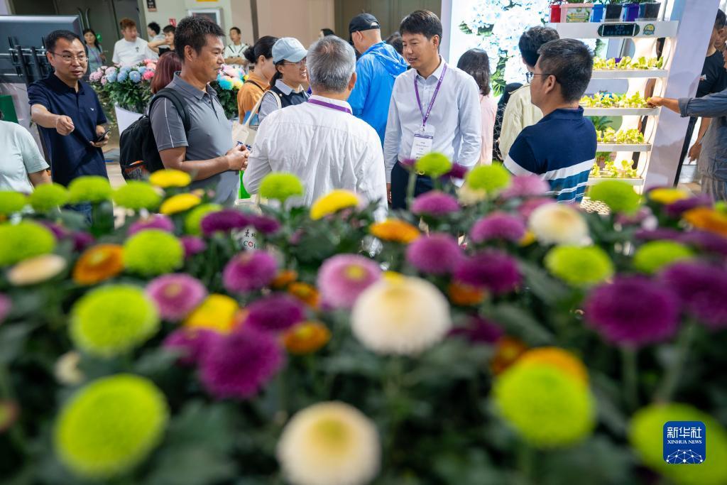 龙腾国际棋牌